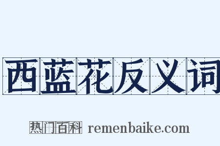 西蓝花反义词是什么意思的图片